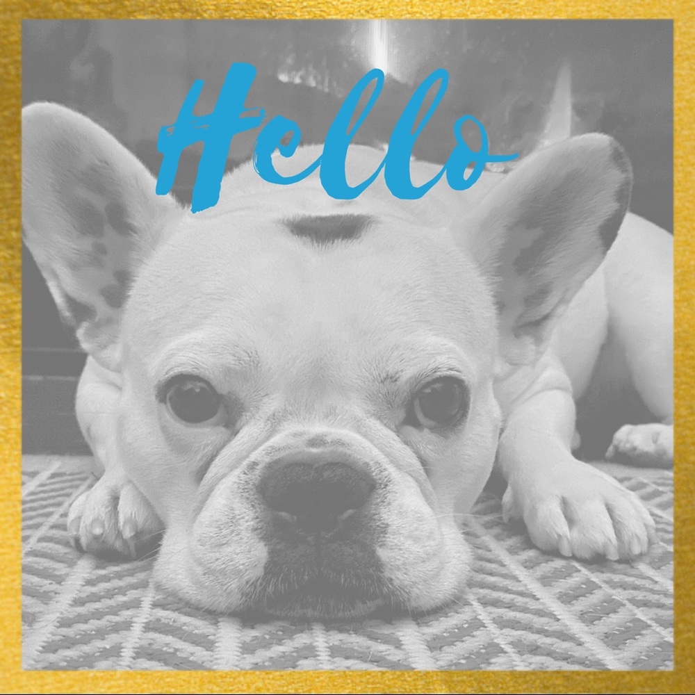 Welcome To My Closet!!!